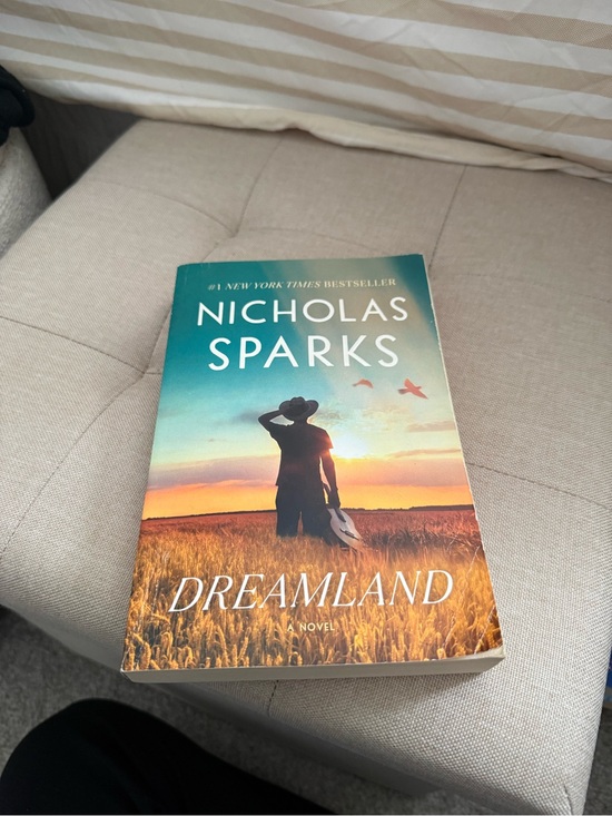 Other - Nicholas Sparks "Dreamland" Paperback - Teal, Orange, Gold Cover